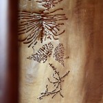 détail forêt de signe
